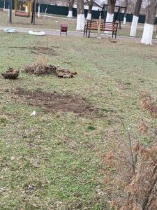 IMG_20240220_104633