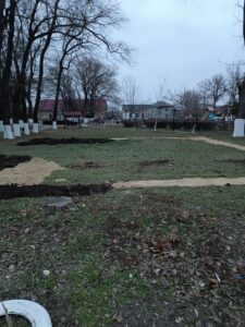 IMG_20240220_173614