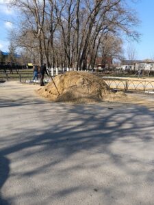 IMG_20240222_143229